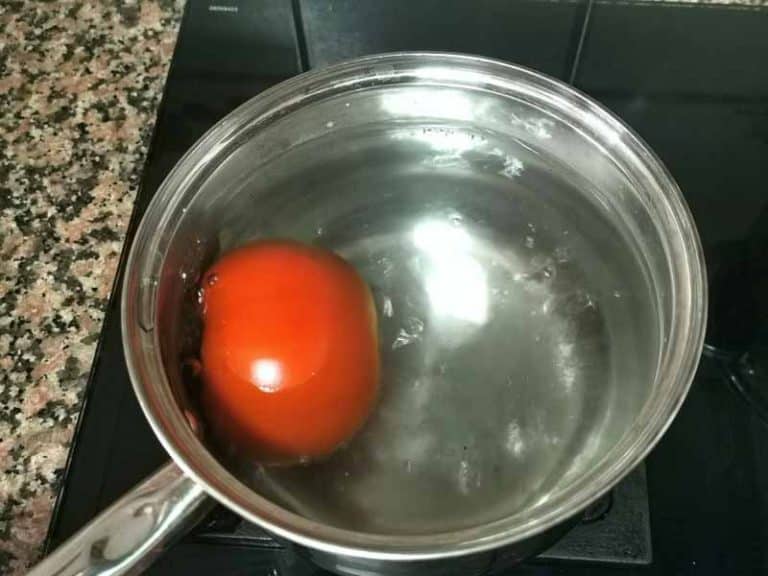 escalda tomate